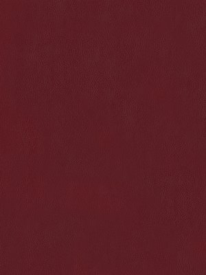 cover image of Surface & Coatings Technology